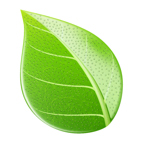Rev5 Fertilizer